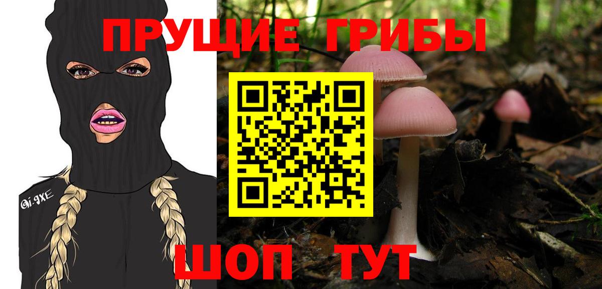 Галлюциногенные грибы мухоморы  Вход с VPN  Мариинск 